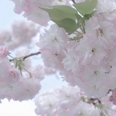 Furry插画创意构思思路兽圈社群